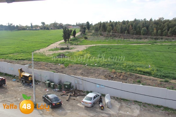 zaytoon house 0227 (19).JPG